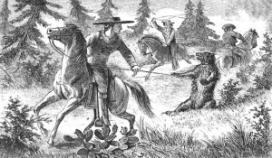 California Grizzly Bear Being Lassoed