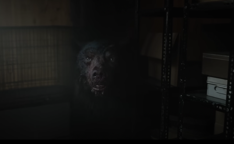 Cocaine Bear Movie Trailer